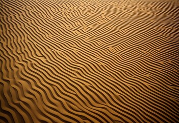 A close up of a sand dune in the desert.