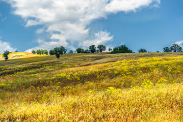 Fototapeta premium rural countryside landscape during a sunny summer day inside Val d'Agri, Basilicata