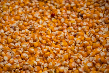 Fresh popcorn seeds in the market for background use.