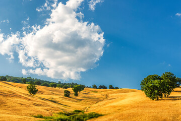 rural countryside landscape during a sunny summer day inside Val d'Agri, Basilicata