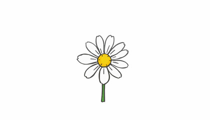 Simple daisy flower illustration on a white background  