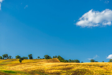 Obraz premium rural countryside landscape during a sunny summer day inside Val d'Agri, Basilicata