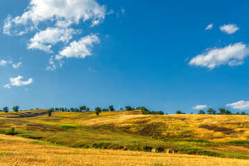 Obraz premium rural countryside landscape during a sunny summer day inside Val d'Agri, Basilicata