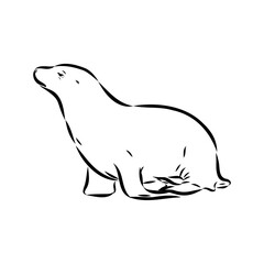 navy seal, vector sketch