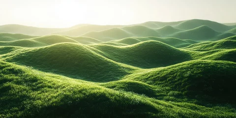 Gardinen Lush green hills bathed in soft sunlight create a serene landscape during early morning hours © Georg