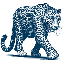 Leopard vector