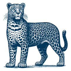 Leopard vector