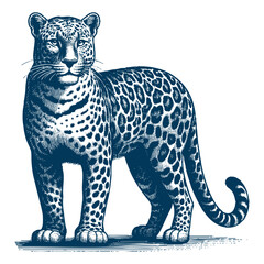 Leopard vector