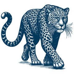 Leopard vector