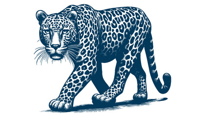Leopard vector
