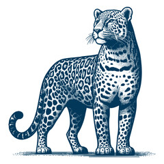 Leopard vector
