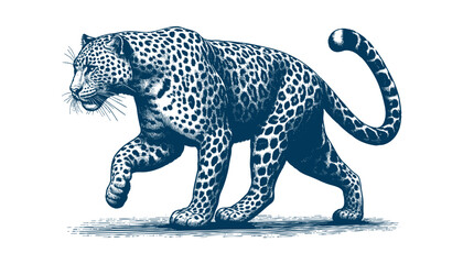 Leopard vector