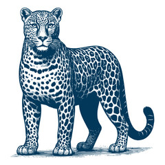 Leopard vector