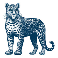 Leopard vector