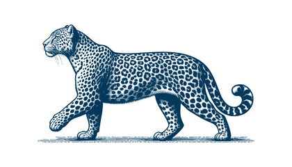 Leopard vector
