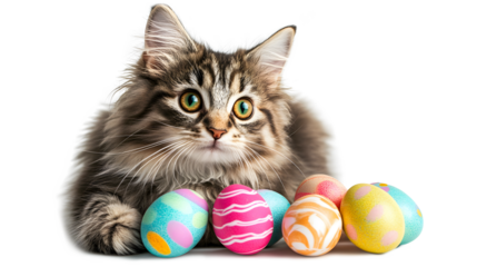 A cat is laying on a table with a bunch of colorful eggs
