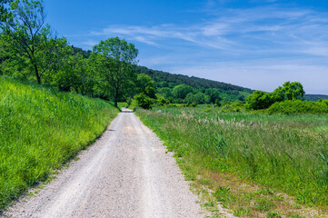 Chemin de randonnée dans la saline de Sečovlje, un jour ensoleillé, Slovénie