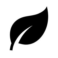 Fototapeta premium leaf icon isolated on white background