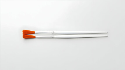 Fototapeta premium Pair Of Orange Tip White Paintbrushes