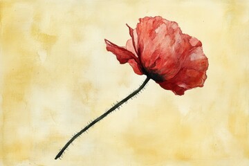 Watercolor depiction of a single poppy.