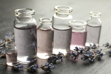 Open perfume bottles with aromatic essential oils and lavender branches on dark textured table, closeup