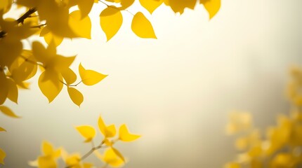 Yellow leaves against a blurry bright background,