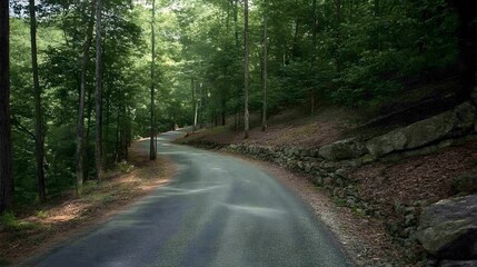 Obraz premium Winding Road through Lush Green Forest Landscape