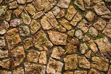 Irregular stone pavement with earthy colors and leaf details. A natural surface pattern ideal for backgrounds, architectural textures, or outdoor design themes.