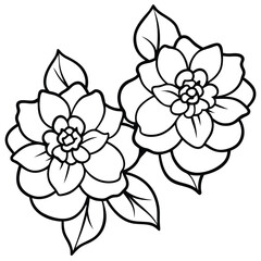 A black and white floral vector illustration in a hand-drawn style. The design should feature two large, natural-looking flowers with five rounded petals each, slightly overlapping.