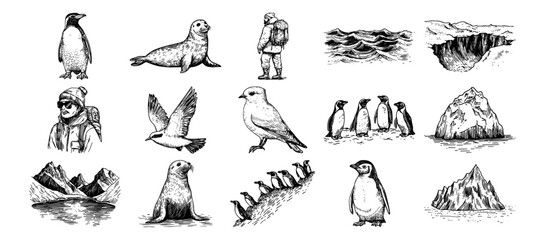 polar animals and arctic landscape with penguins, seals, icebergs and explorers vector hand drawn doodle ink sketch © Kaz