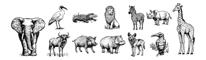 african animals including elephant, lion, giraffe, hippo, zebra and buffalo vector hand drawn doodle ink sketch © Kaz