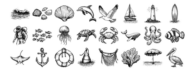 beach and sea life illustrations with dolphin, shell, jellyfish, surfboard, crab and pelican vector hand drawn doodle ink sketch