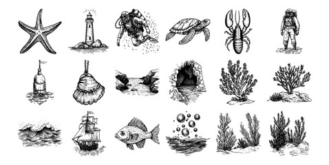 starfish, lighthouse, diver, sea turtle, fish, coral and other ocean elements vector hand drawn doodle ink sketch © Kaz