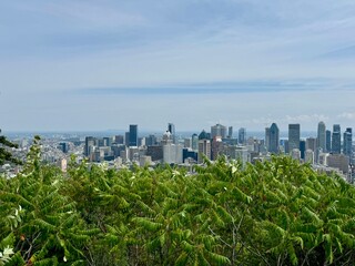 skyline of montreal
