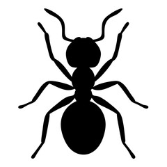 ant black silhouette icon - perfect for designs about jungle animals ant nature, wildlife, rainforest, vector art