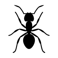 ant black silhouette icon - perfect for designs about jungle animals ant nature, wildlife, rainforest, vector art