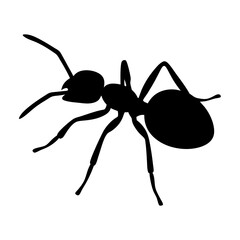 ant black silhouette icon - perfect for designs about jungle animals ant nature, wildlife, rainforest, vector art