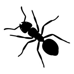 ant black silhouette icon - perfect for designs about jungle animals ant nature, wildlife, rainforest, vector art