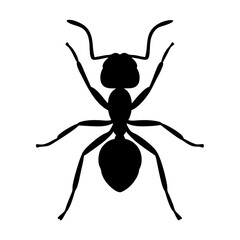 ant black silhouette icon - perfect for designs about jungle animals ant nature, wildlife, rainforest, vector art
