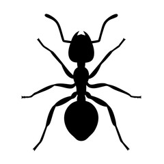 ant black silhouette icon - perfect for designs about jungle animals ant nature, wildlife, rainforest, vector art