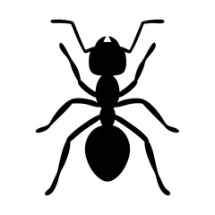 ant black silhouette icon - perfect for designs about jungle animals ant nature, wildlife, rainforest, vector art