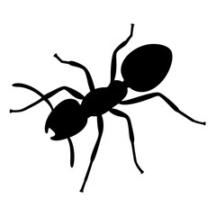 ant black silhouette icon - perfect for designs about jungle animals ant nature, wildlife, rainforest, vector art