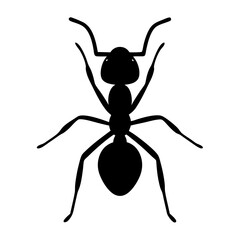 ant black silhouette icon - perfect for designs about jungle animals ant nature, wildlife, rainforest, vector art