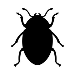 beetle black silhouette icon - perfect for designs about jungle animals beetle nature, wildlife, rainforest, vector art