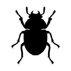 beetle black silhouette icon - perfect for designs about jungle animals beetle nature, wildlife, rainforest, vector art