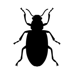 beetle black silhouette icon - perfect for designs about jungle animals beetle nature, wildlife, rainforest, vector art