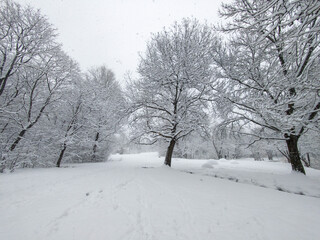 Obraz premium Winter Landscape of South Park in city of Sofia, Bulgaria