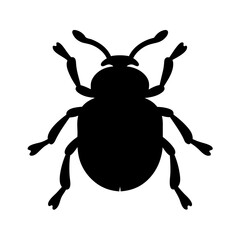 beetle black silhouette icon - perfect for designs about jungle animals beetle nature, wildlife, rainforest, vector art