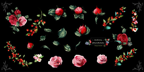 Floral design. Illustration of roses flowers  branch and cranberry isolated on black. For fabric, textile and other prints. Abstract, watercolor. Hand drawn. Vector - stock.