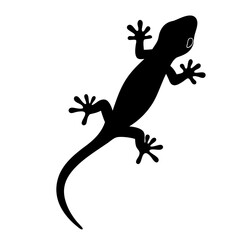 chameleon black silhouette icon - perfect for designs about jungle animals chameleon nature, wildlife, rainforest, vector art